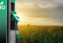 Biofuel station beside sunflower field.